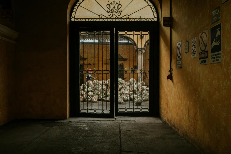 a doorway with glass panels and an iron door