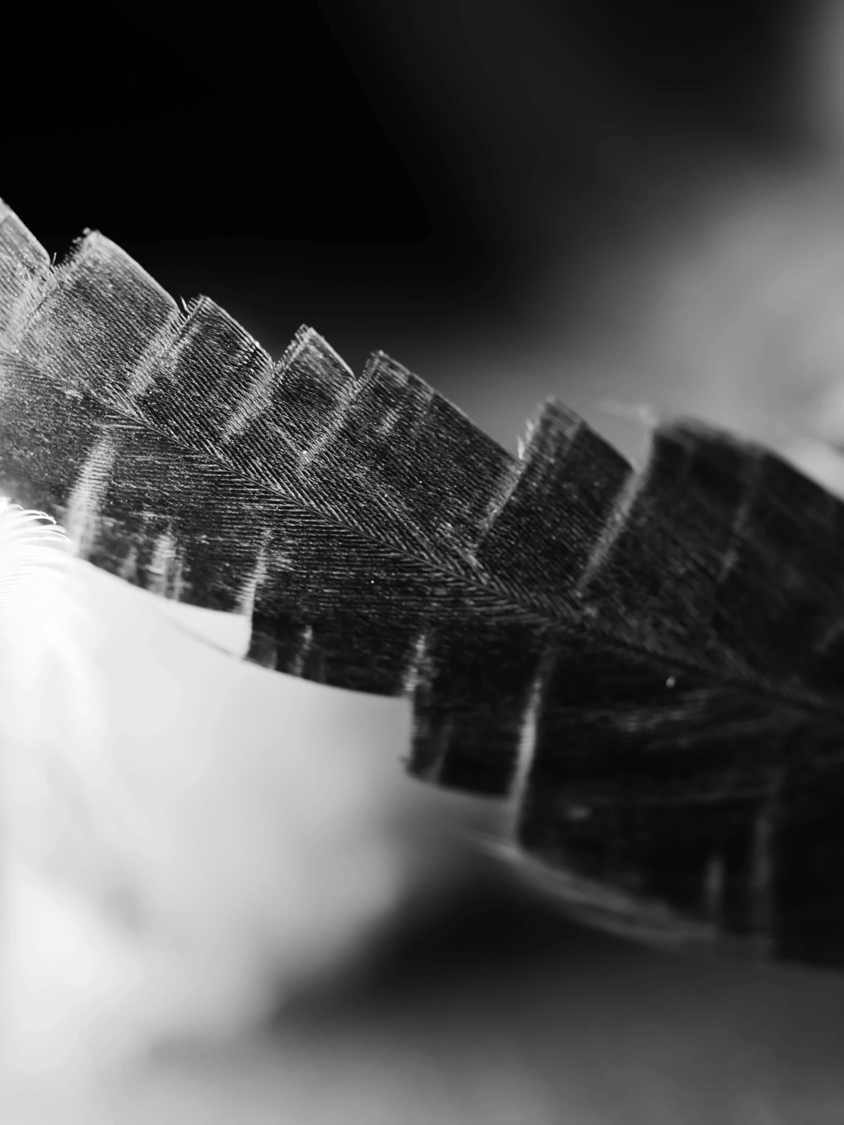 a feather is shown with white feathers, on a black background