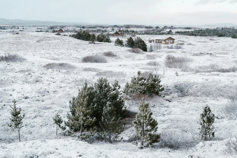 a white snow covered ground with buildings on it