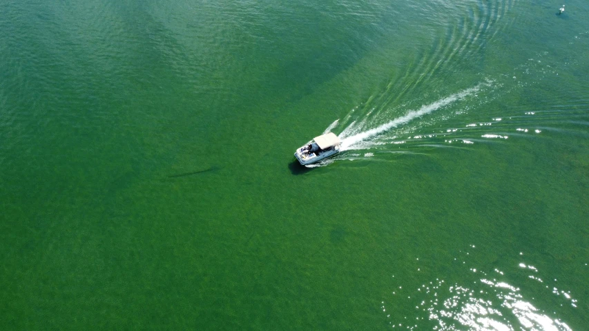 a small boat floating on top of a lake filled with green water