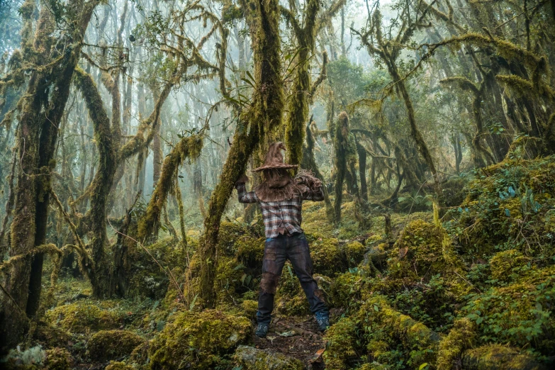 a person is standing in the middle of a forest