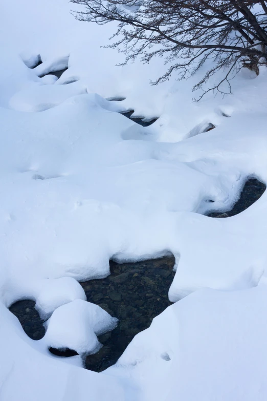 the snow covered ground is next to water