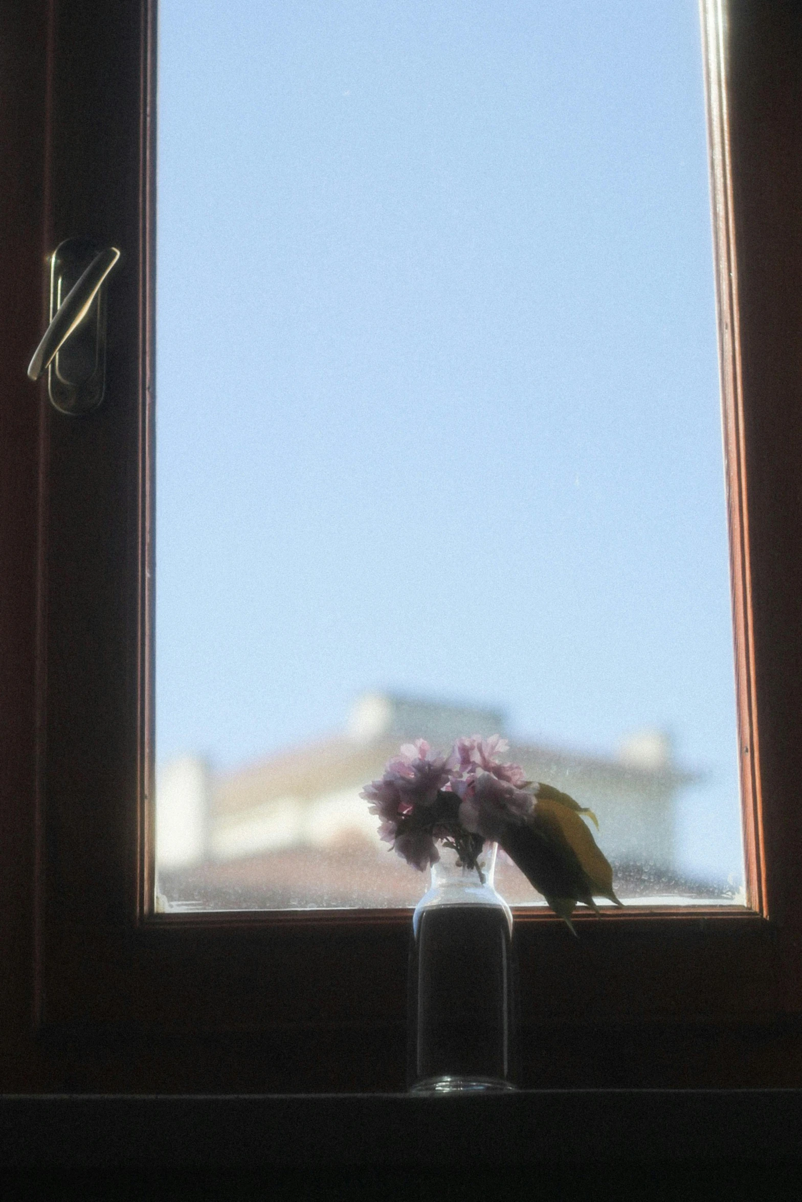 a vase with flowers sitting on a ledge next to a window