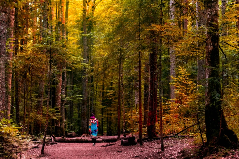 a  walks down the trail in the forest