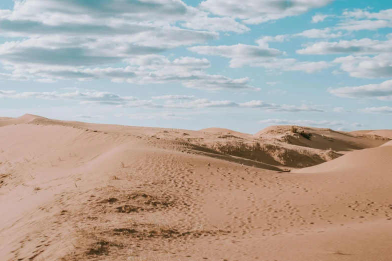 the vast sand dunes are a prominent feature of this arid terrain