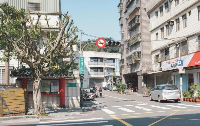 a tree stands on the street corner in front of the shops