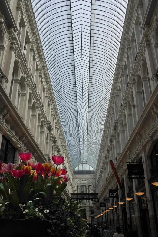 looking up at ceiling above with flowers in a large indoor area