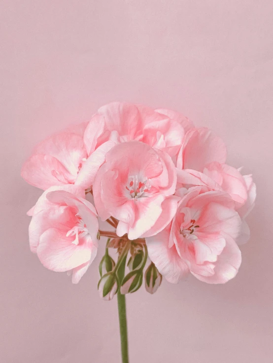 a glass vase filled with pink flowers