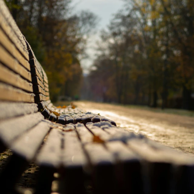 there are several wooden benches in the park