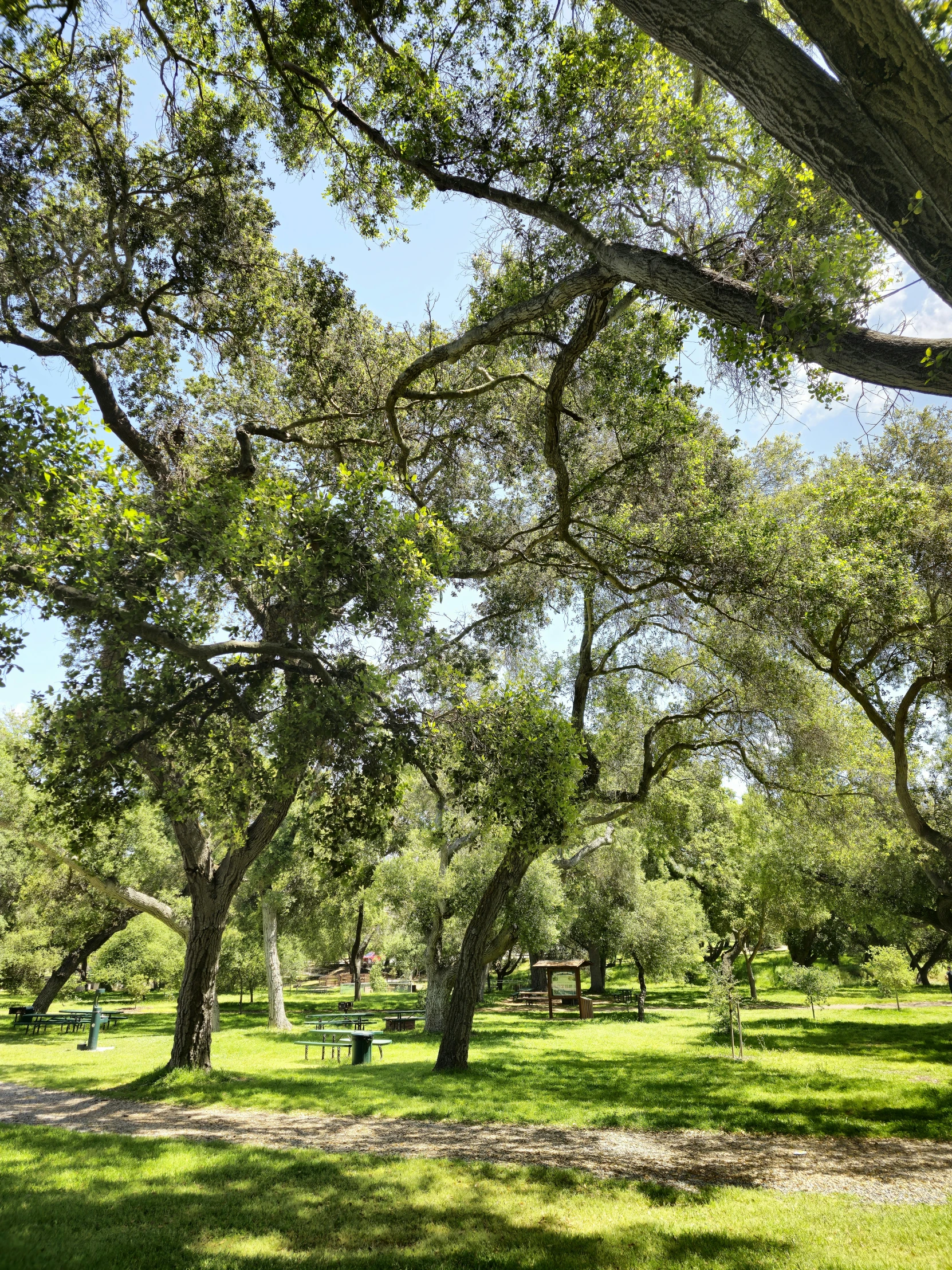 an open field with many trees on the sides