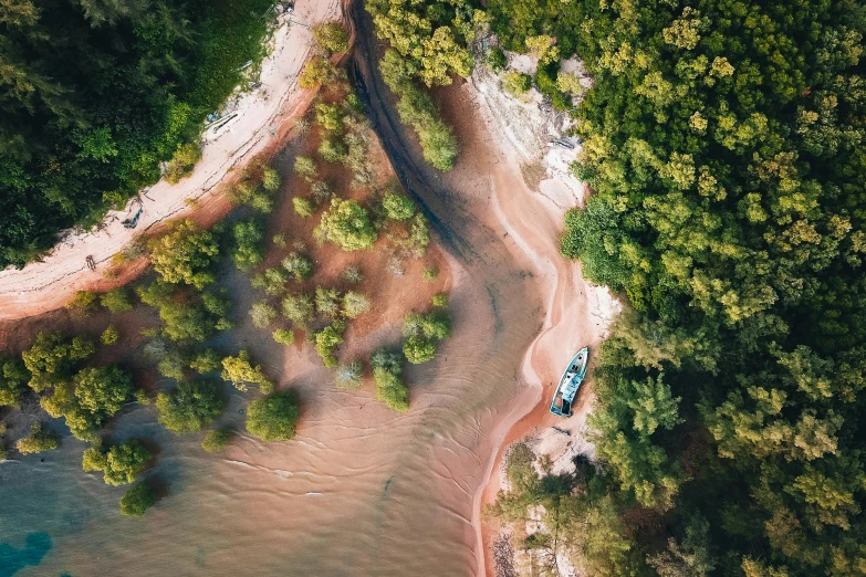 an aerial view of a beach, forest, and car