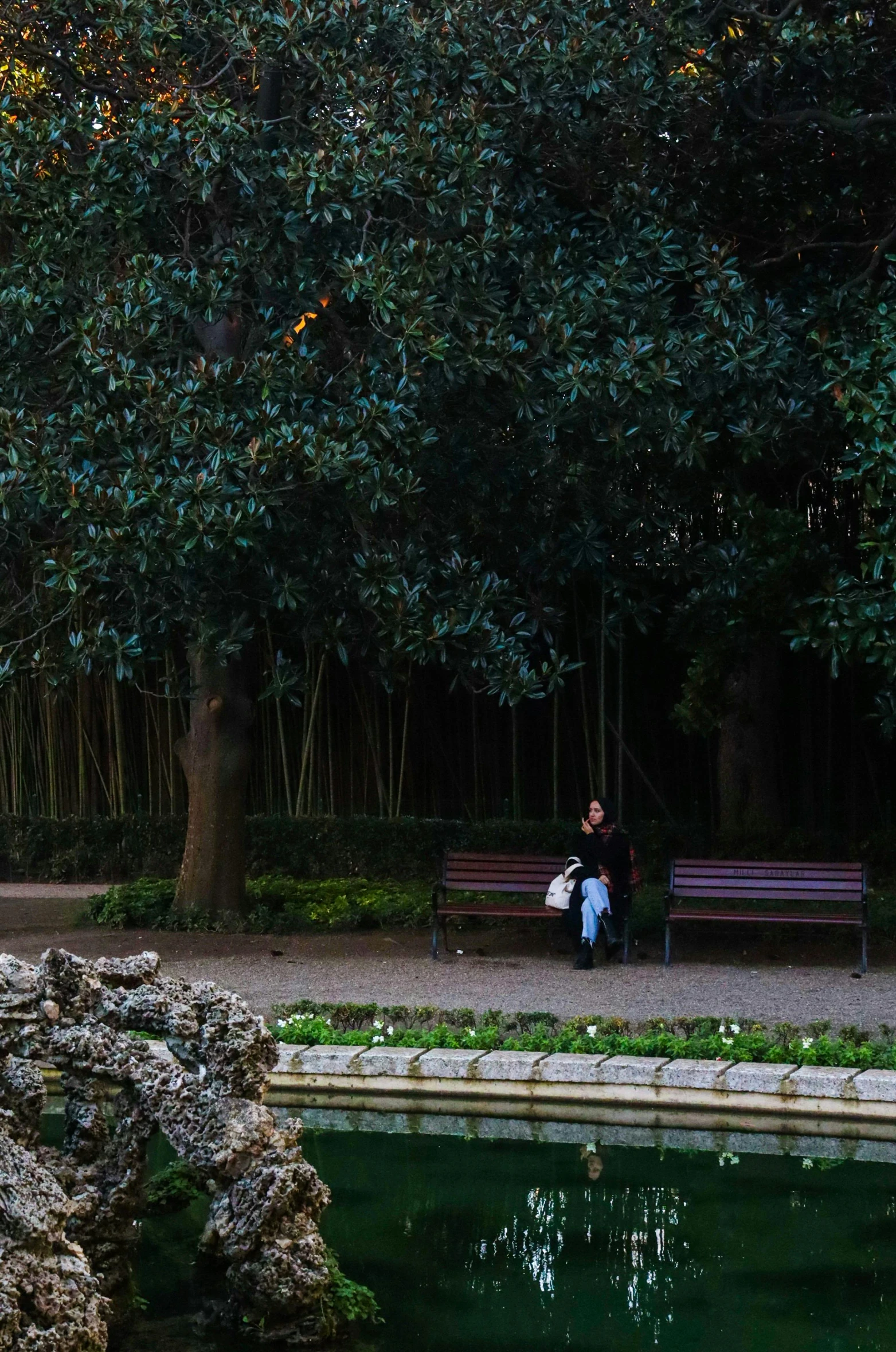 a person sits on a bench under trees near a body of water