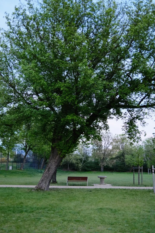 there are benches on the side of this grassy park