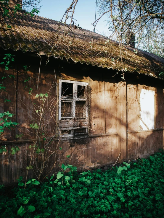 an old run down building with a broken window and grass growing up all over