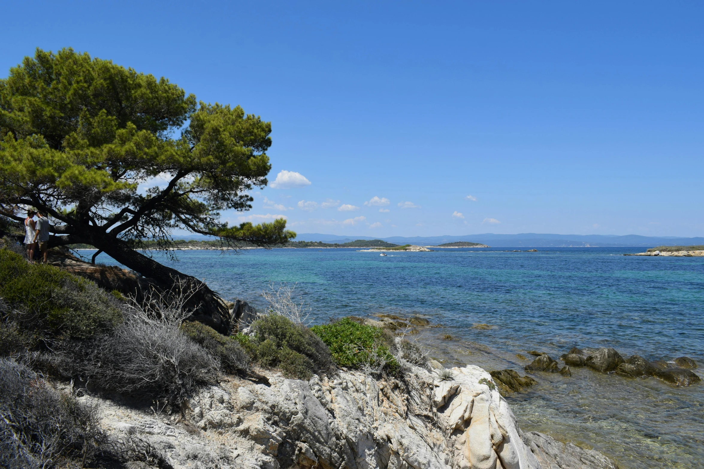 the view of some blue water through a tree and rocks