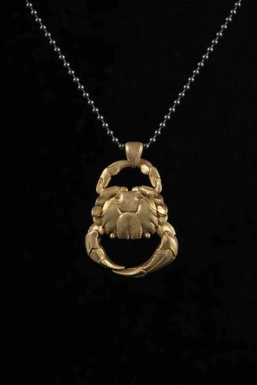 a golden necklace with a pendant on a black background