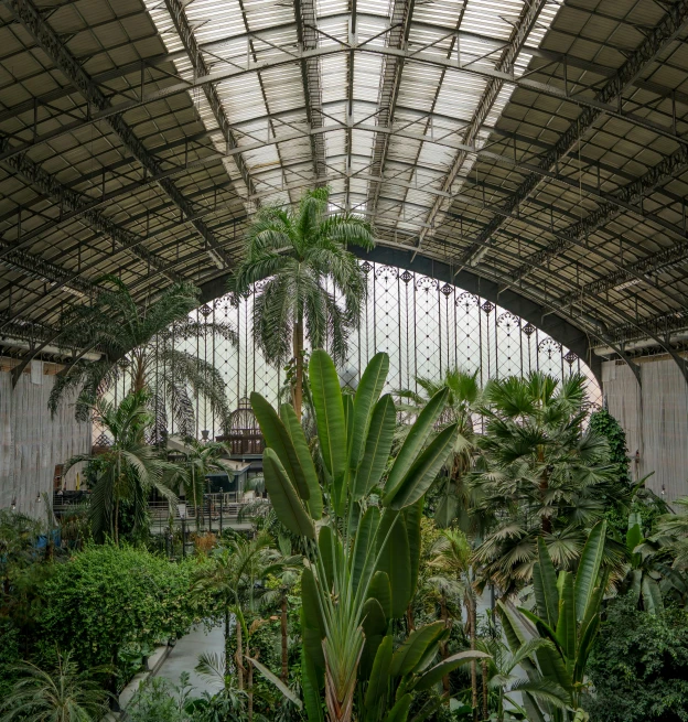 a green house with glass roof next to lots of plants