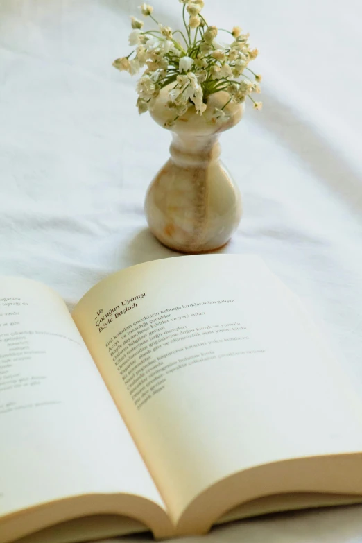 a book opened on the bed beside a vase of flowers