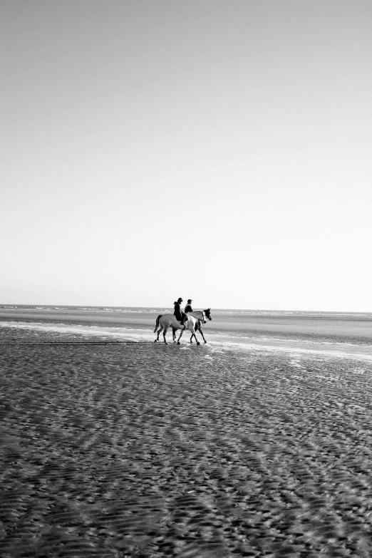 two horses that are walking in the sand