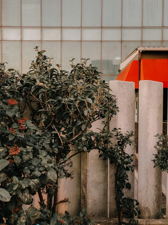 a building with several trees near by