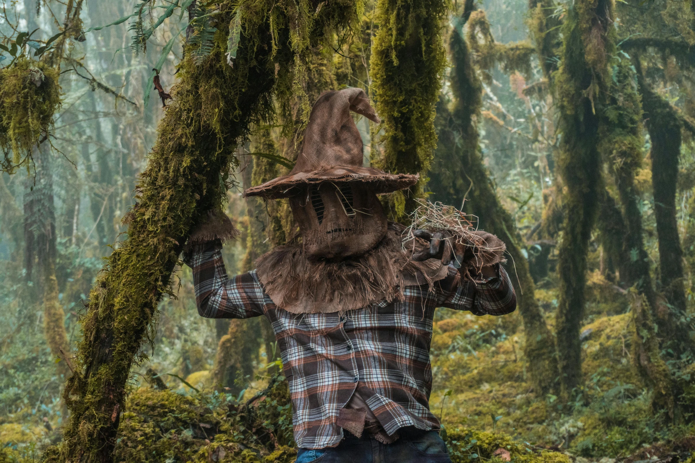 there is a woman dressed as scarecrows in the forest