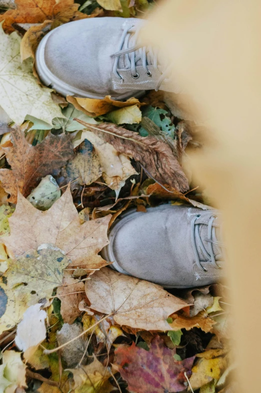 a pair of gray tennis shoes surrounded by leaf litter