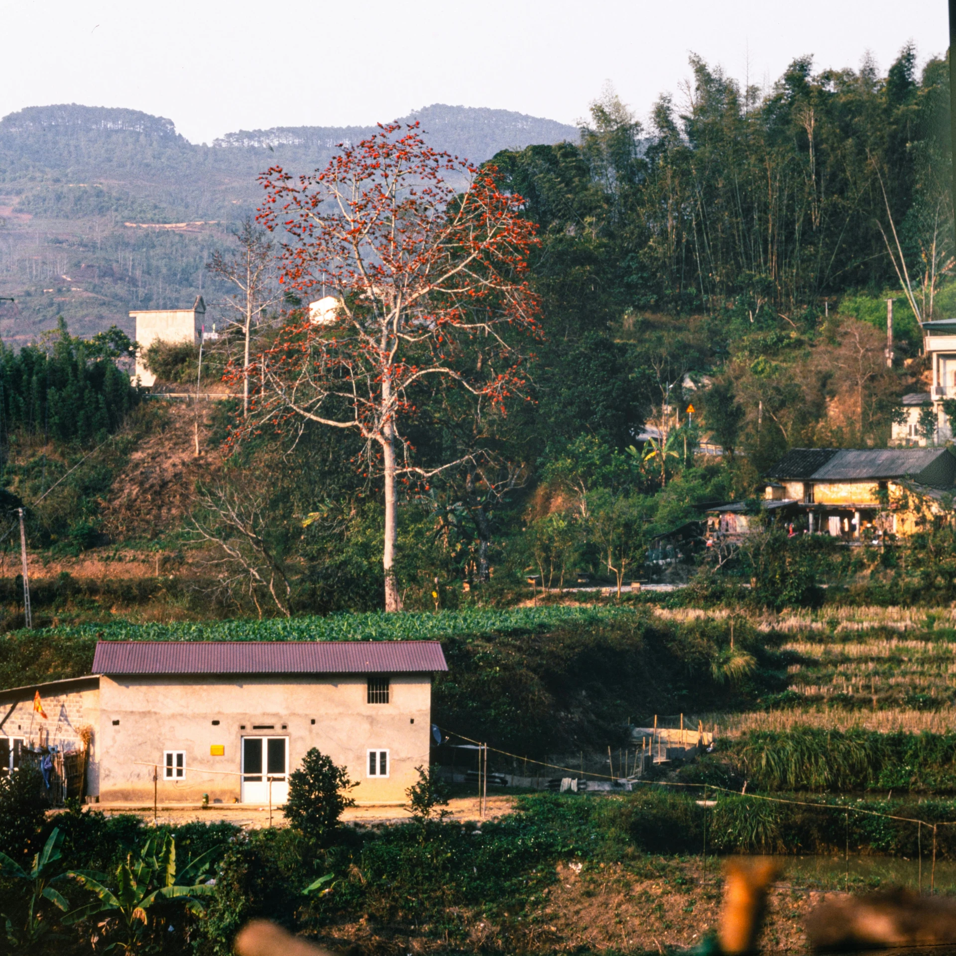 a house is shown at the bottom of a hill