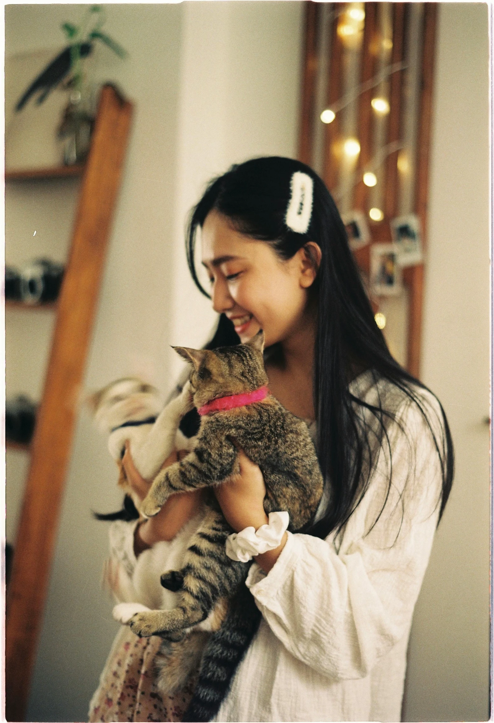 a woman holding two cats next to a staircase