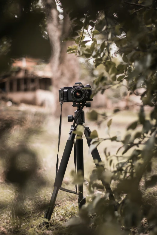 an image of an outdoor setting taken from behind