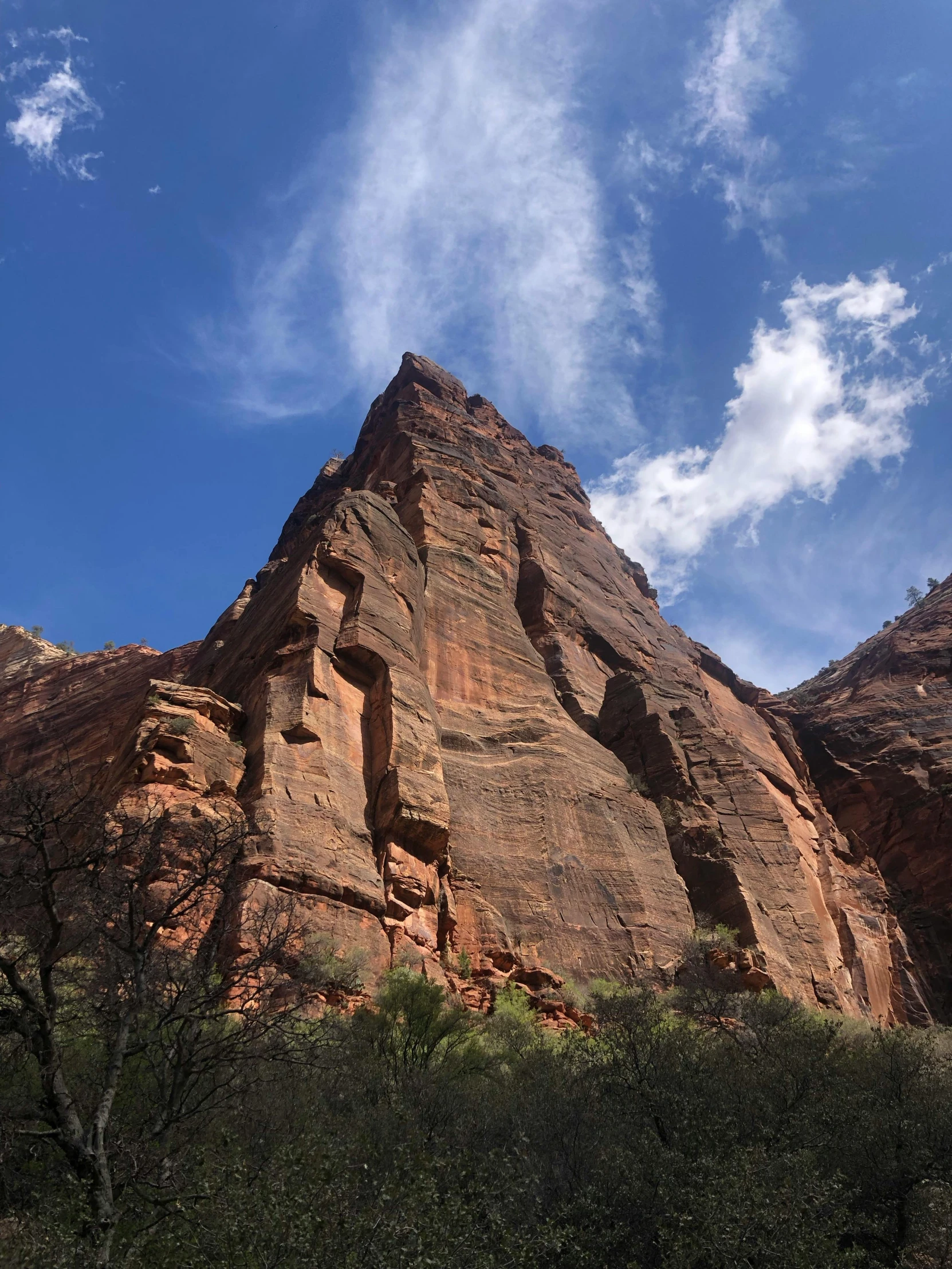 a very large rocky mountain side with trees in front