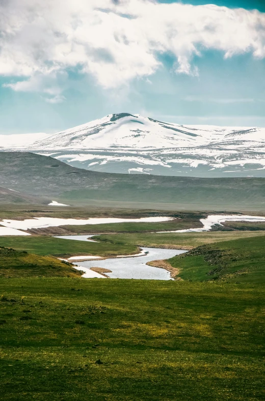 two animals walking on the grass with a mountain in the background