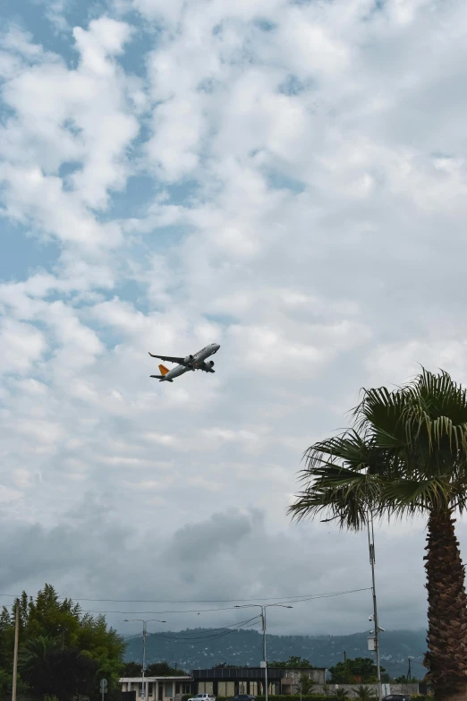 an airplane flying through the clouds with two palm trees