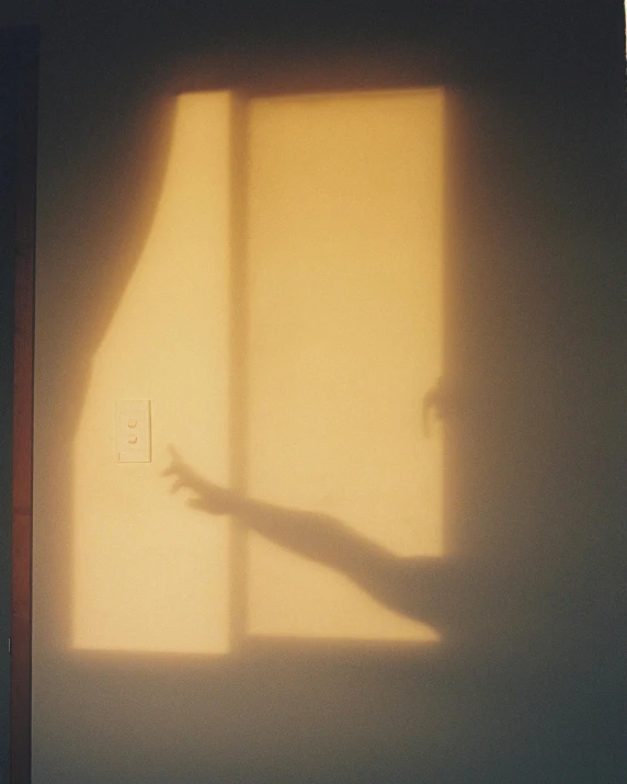 a person casting a shadow on the wall with a light switch