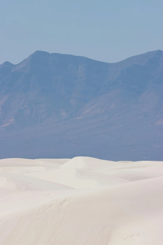 a lone ze walking through the desert