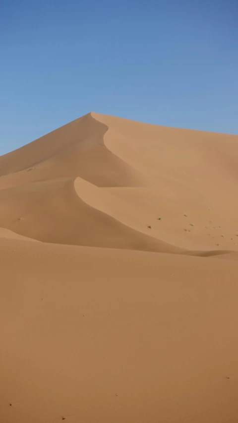 people standing in the sand dunes with a bird flying overhead