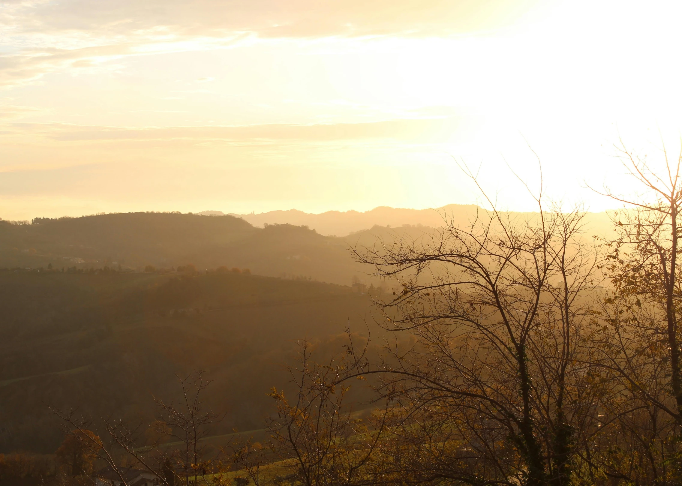 a forest in the background and mountain tops in the foreground