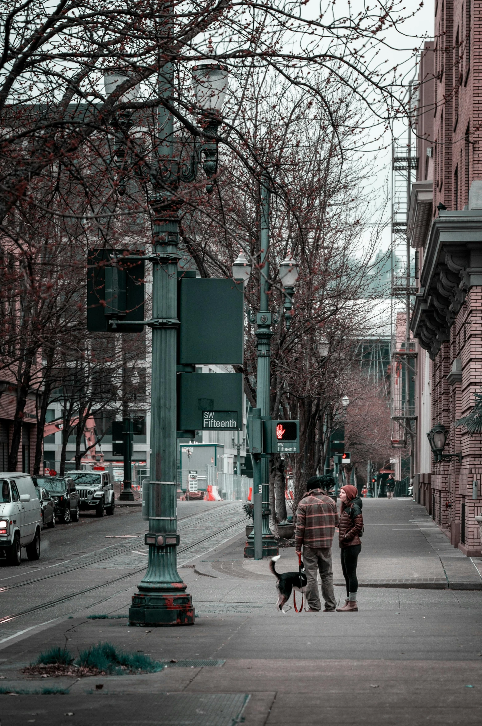 two people walking on the side of a street with a dog