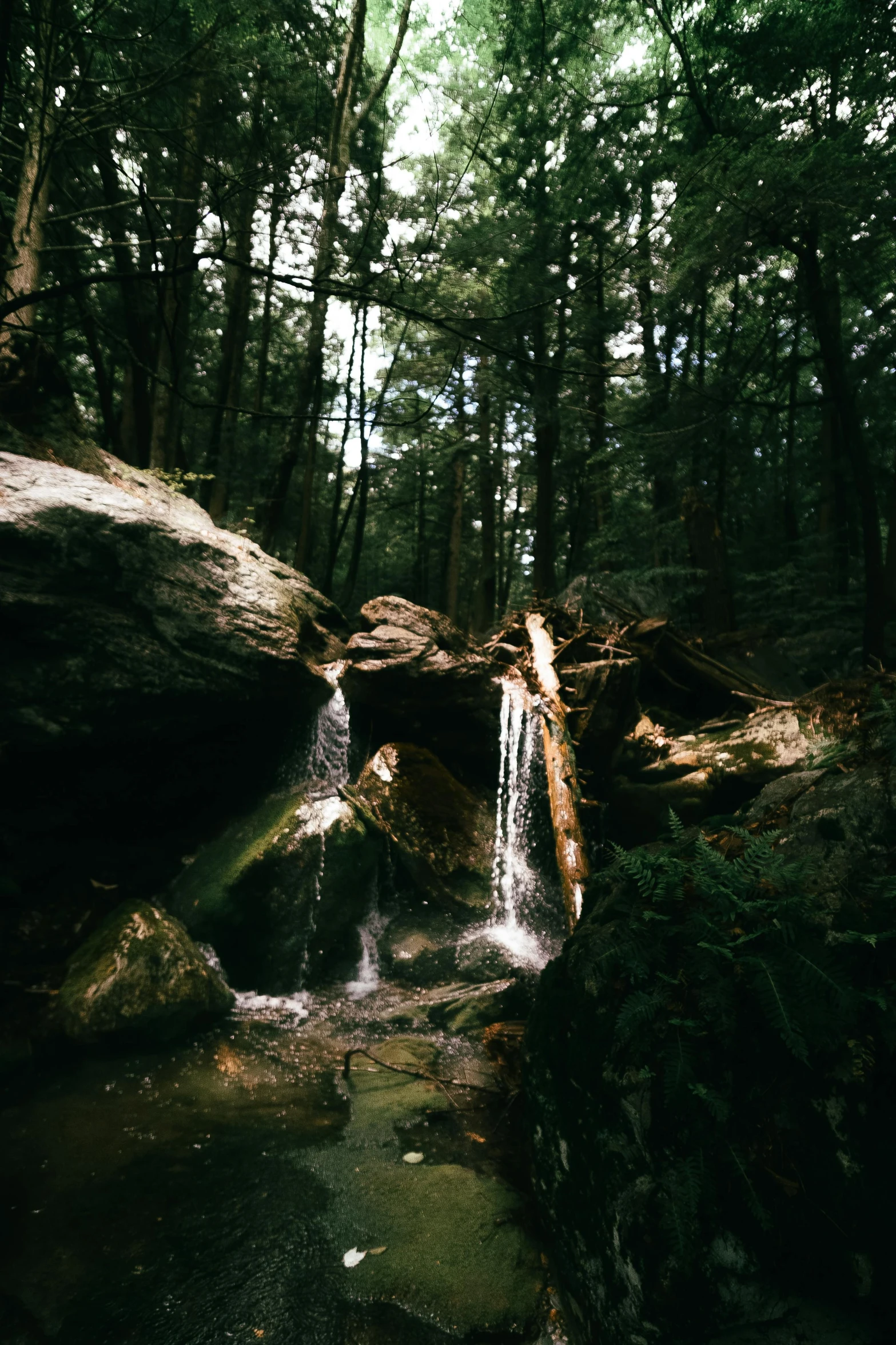 a small waterfall surrounded by wooded woods is near a rock bridge