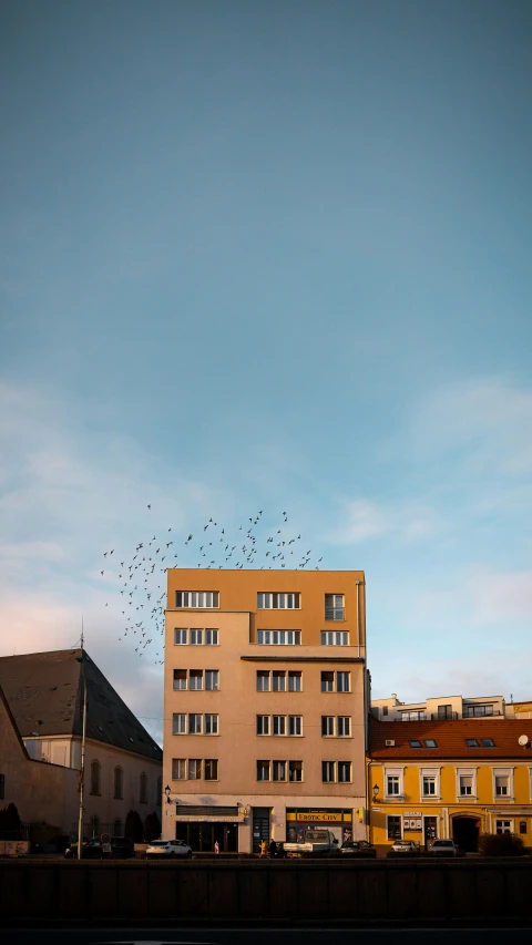 a large flock of birds flying near a el building