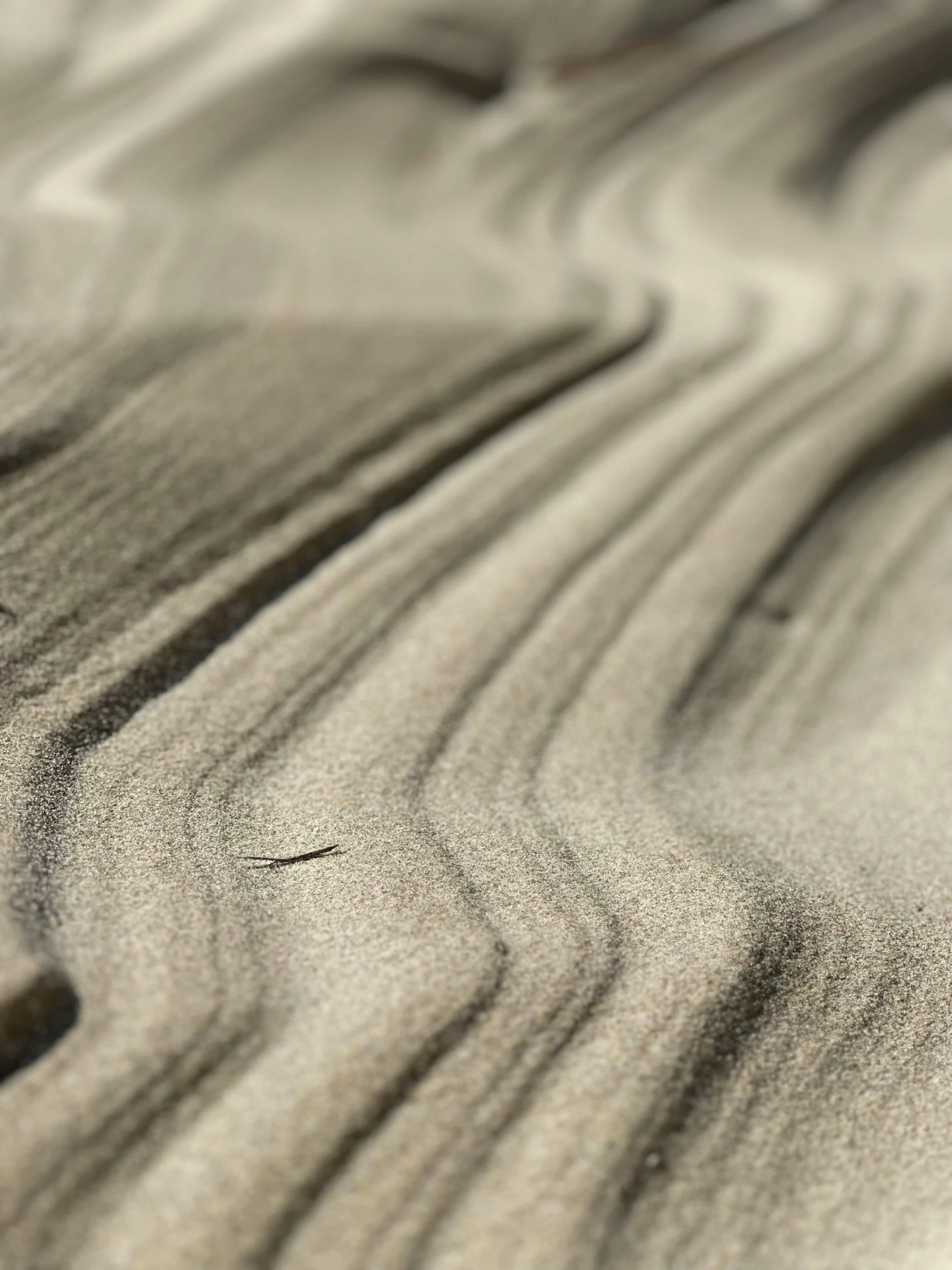 there is a small sand pattern on the beach