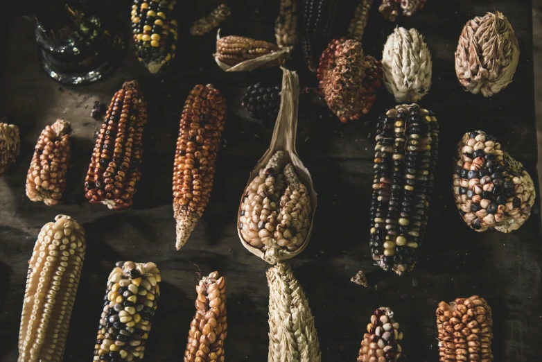 several colorful ear - pods and corn sitting on a surface