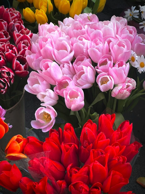 many colorful flowers sit in an assortment of pots