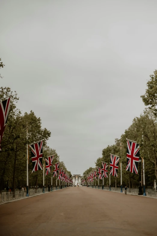 a row of trees with british flags on the street