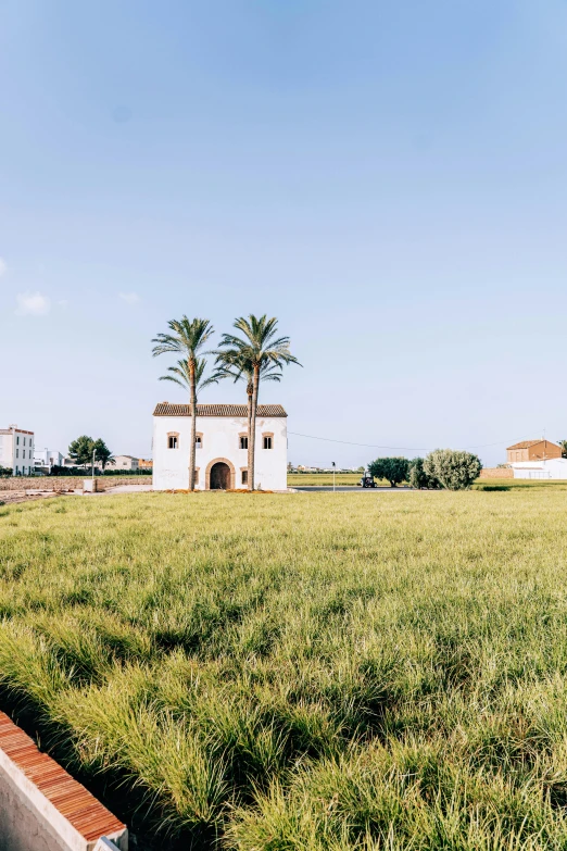 a lone white building in a grassy field