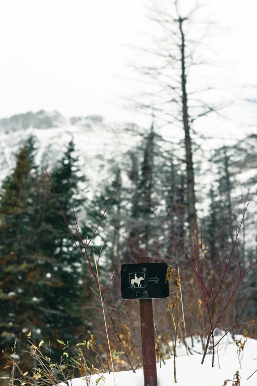 a small sign with an animal is on a snowy surface