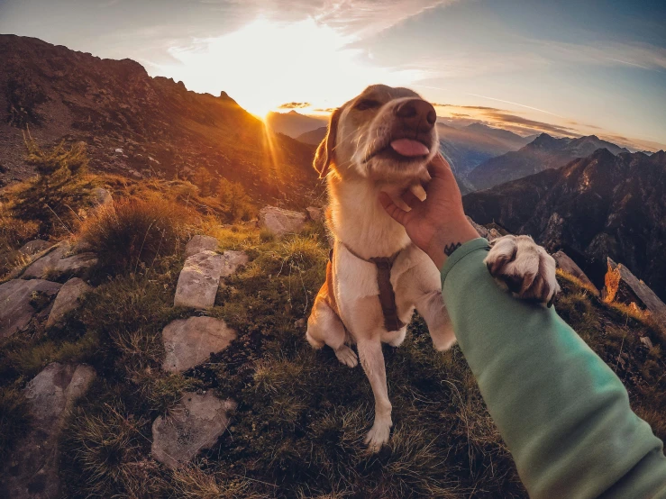 a man holds his dog up as the sun sets in a mountain range