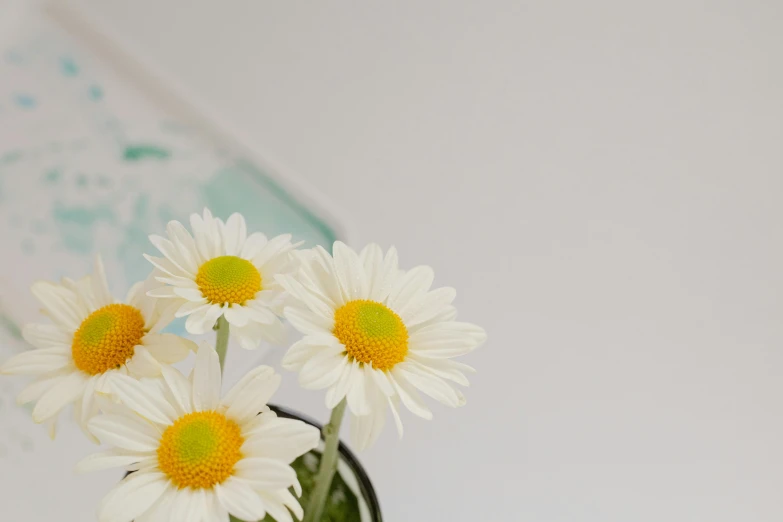 a white vase with yellow and white daisies