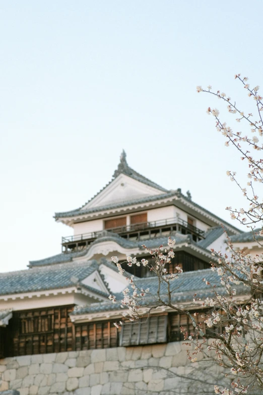 a white building and tree with lots of flowers