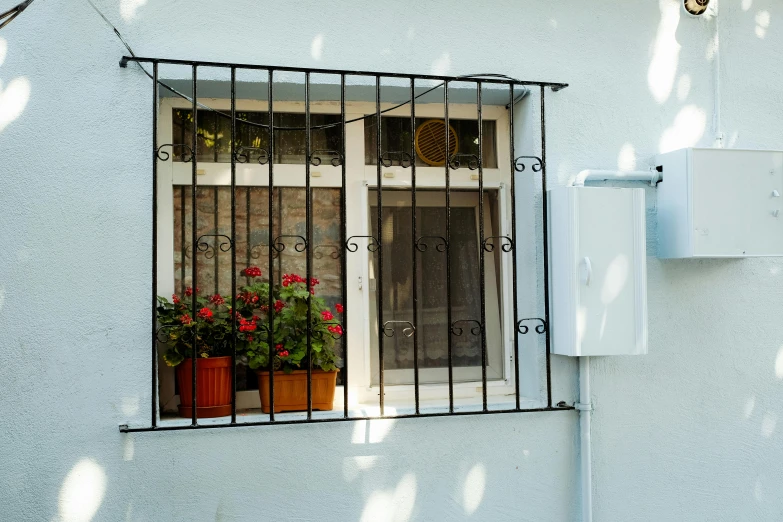 the window has red flowers in it and is beside a street sign