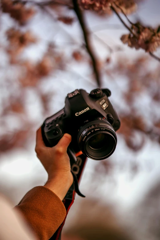 a camera being held to look down at some flowers